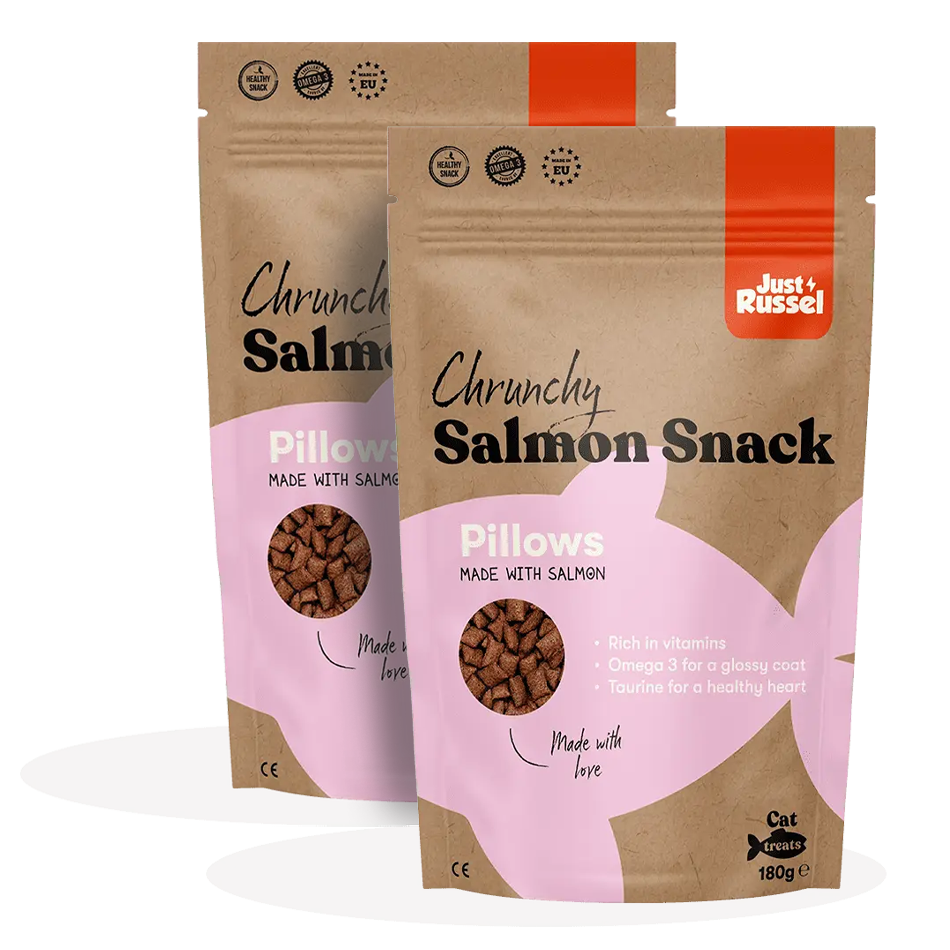 Healty cat snacks
