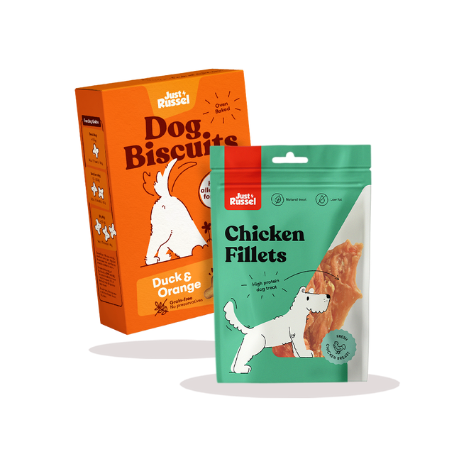 Healthy dog snacks