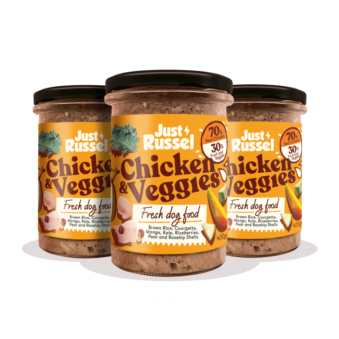 Frisches Hundefutter – Huhn und Gemüse
