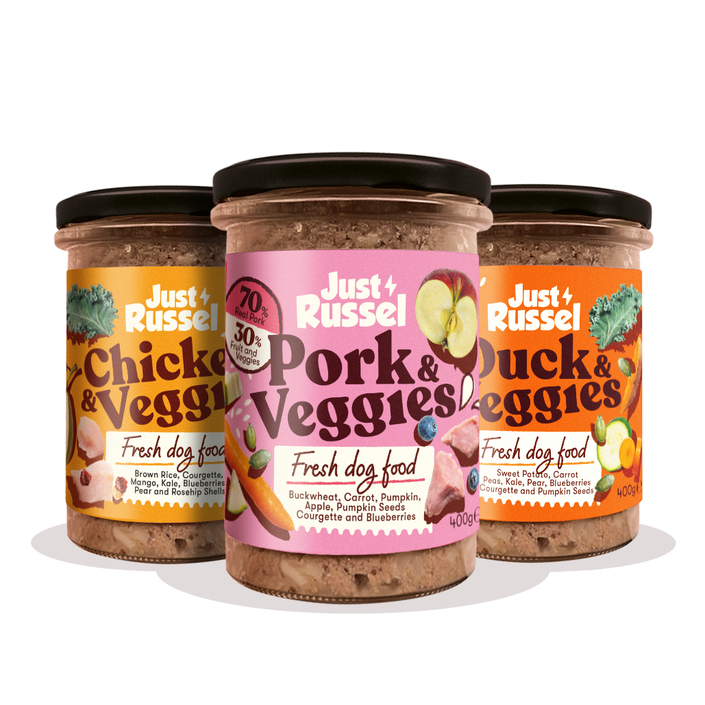 Frisches Hundefutter – Mischpaket