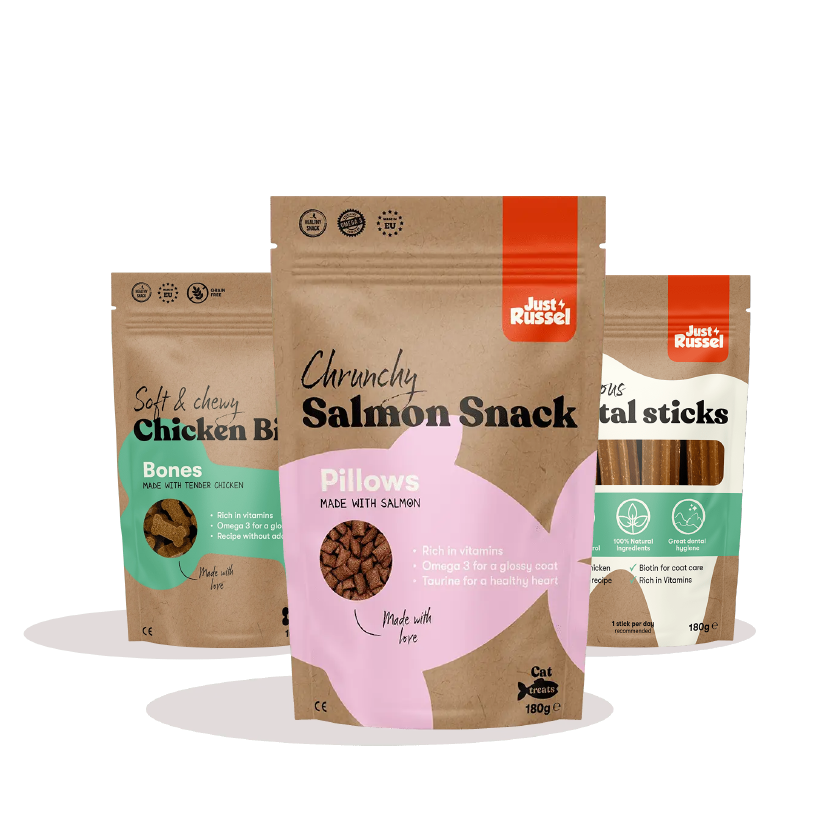 Healthy dog snacks