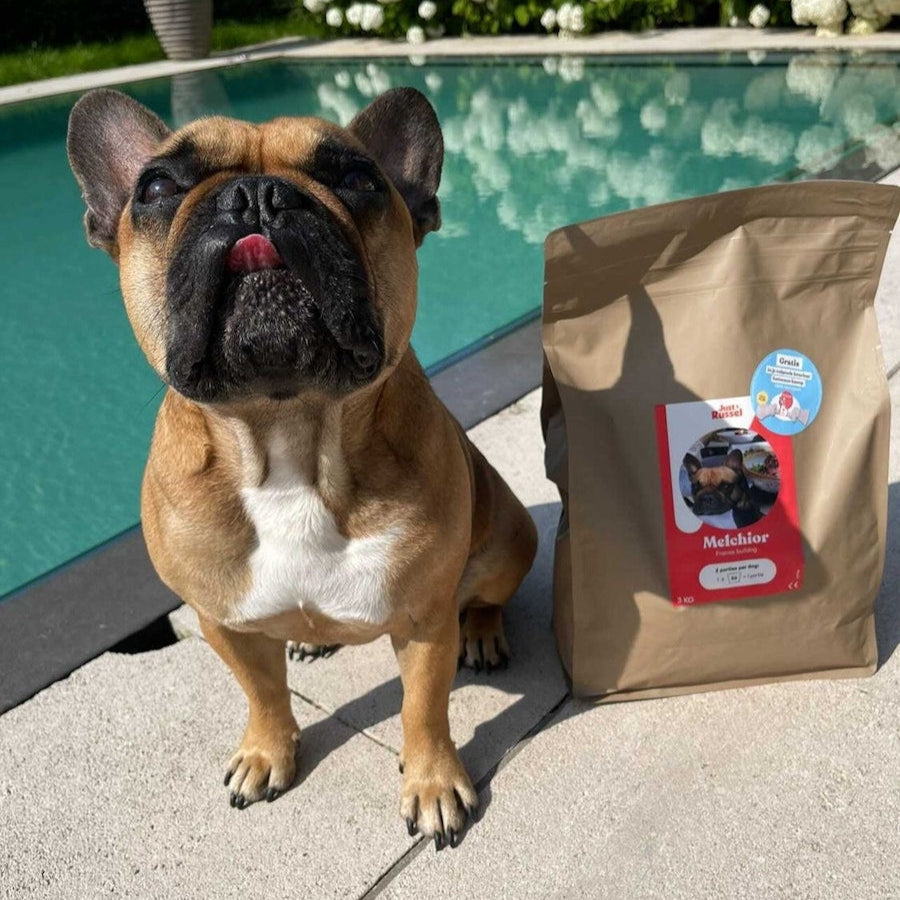 Individuelles Diät-Hundefutter - 3KG