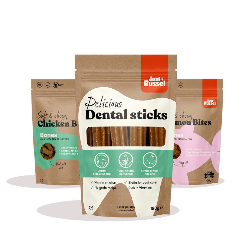 Healthy dog treat bundle