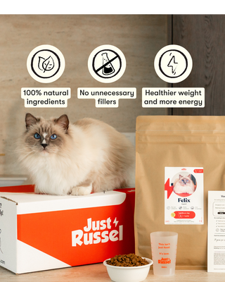 Customized diet cat food - 3KG