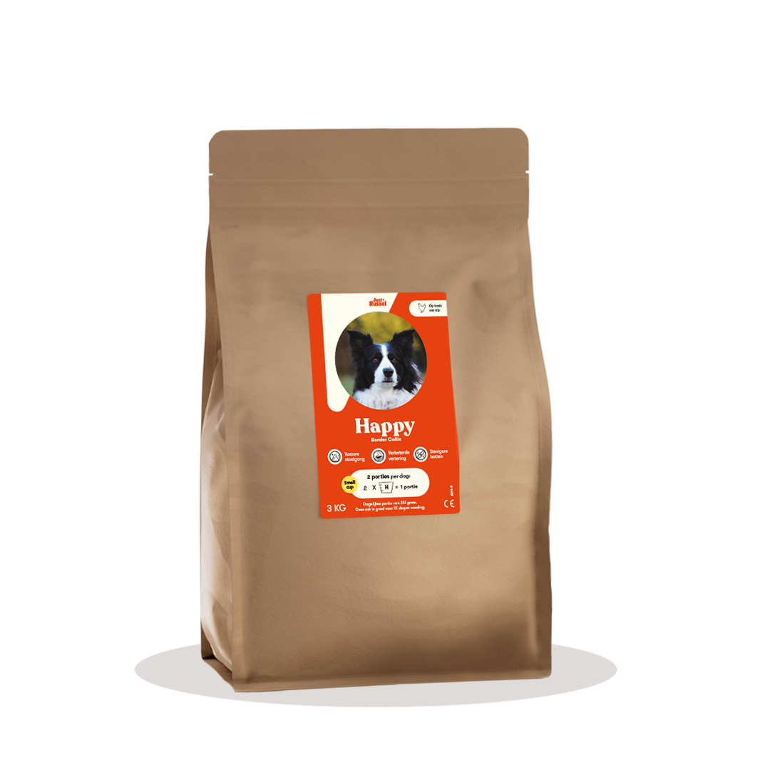 Customized grain-free dog food - 3KG