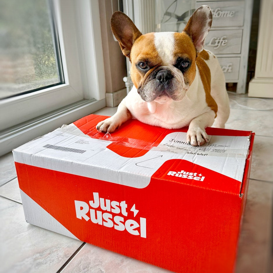 Individuelles Diät-Hundefutter - 3KG