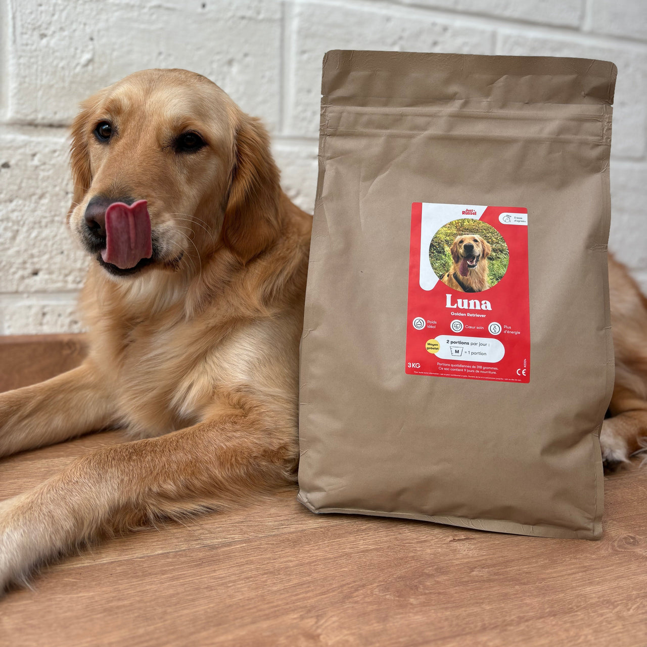 Dog food for Golden Retrievers - 3 KG