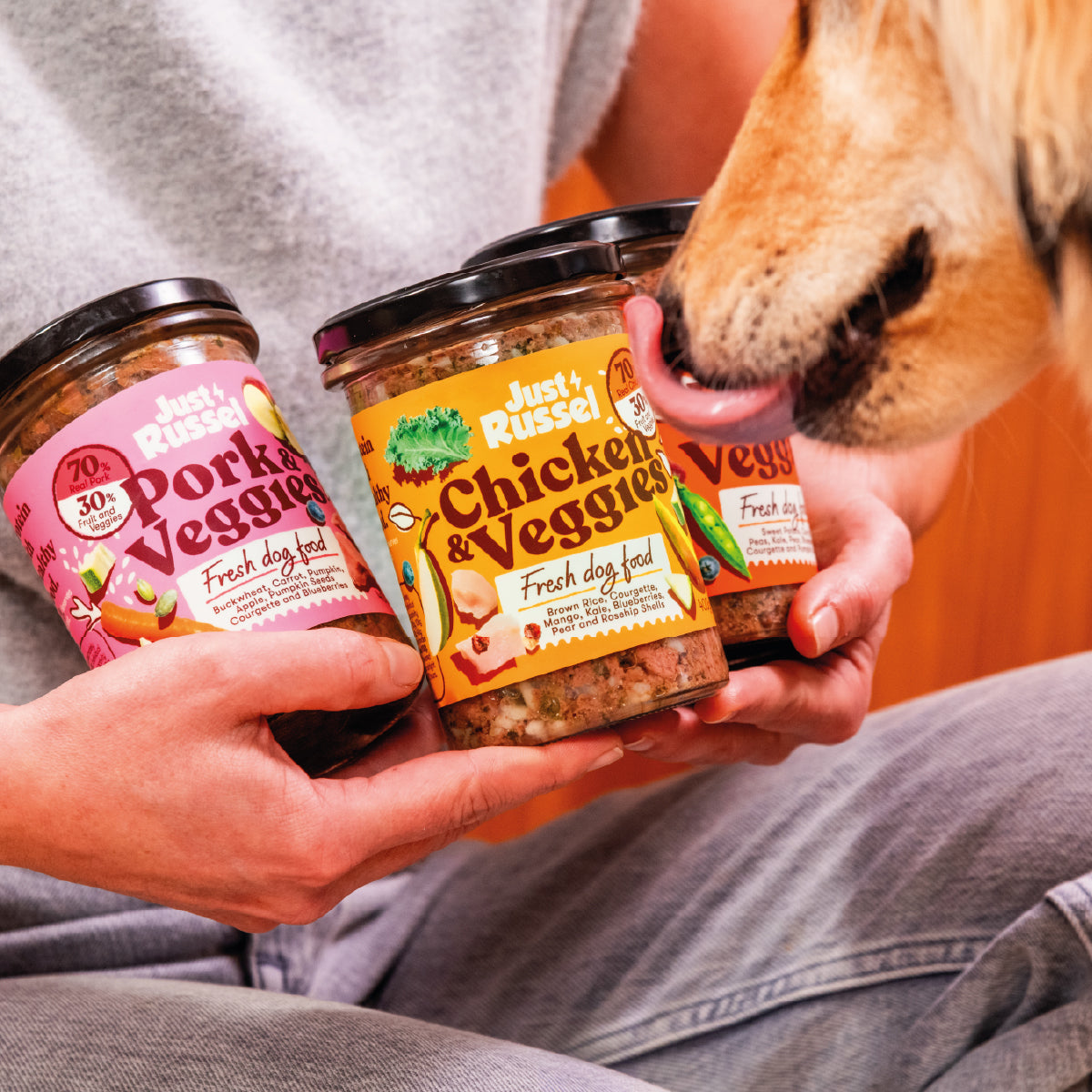 Frisches Hundefutter  Mischpaket  Just Russel Shop