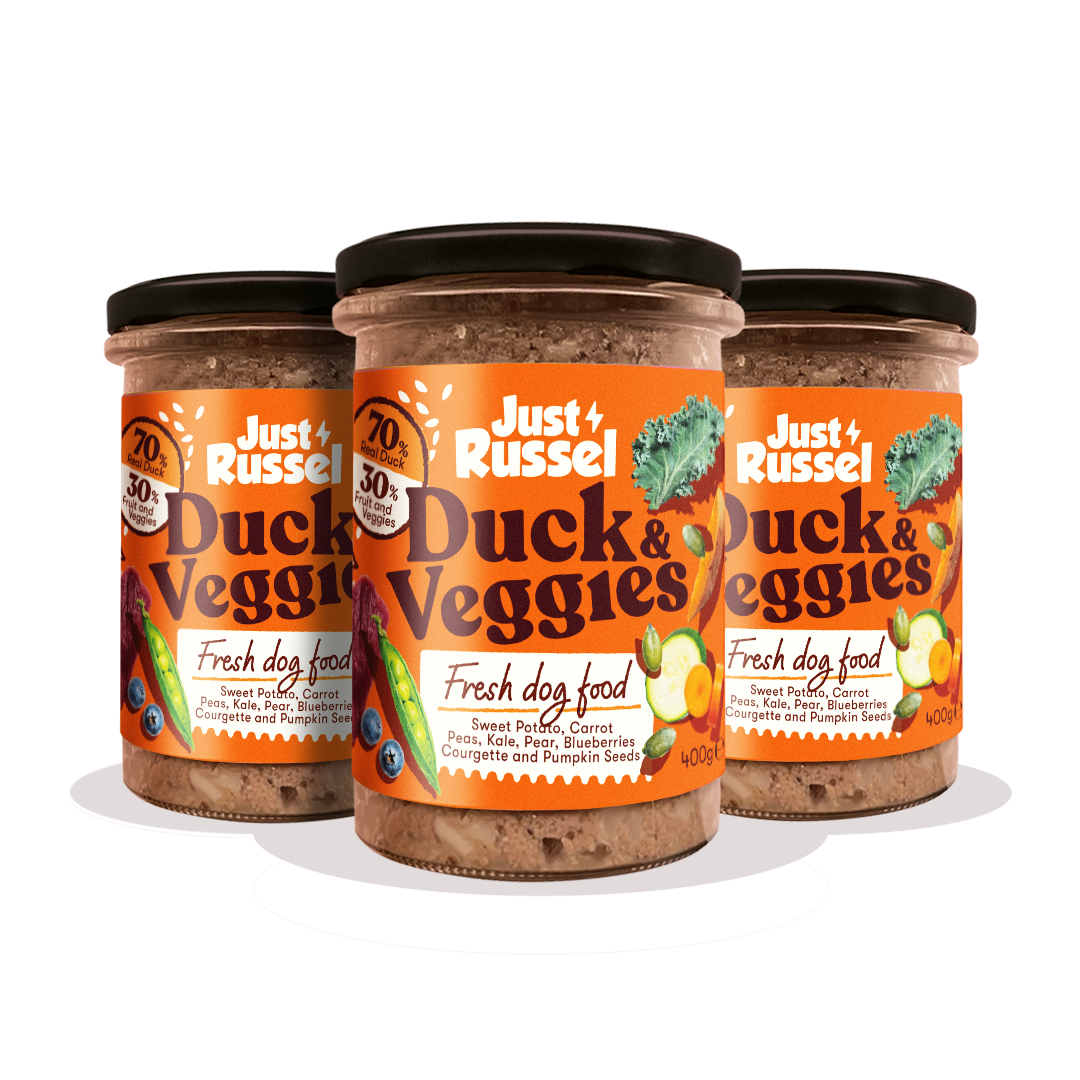 Fresh Dog Food - Duck & Veggies