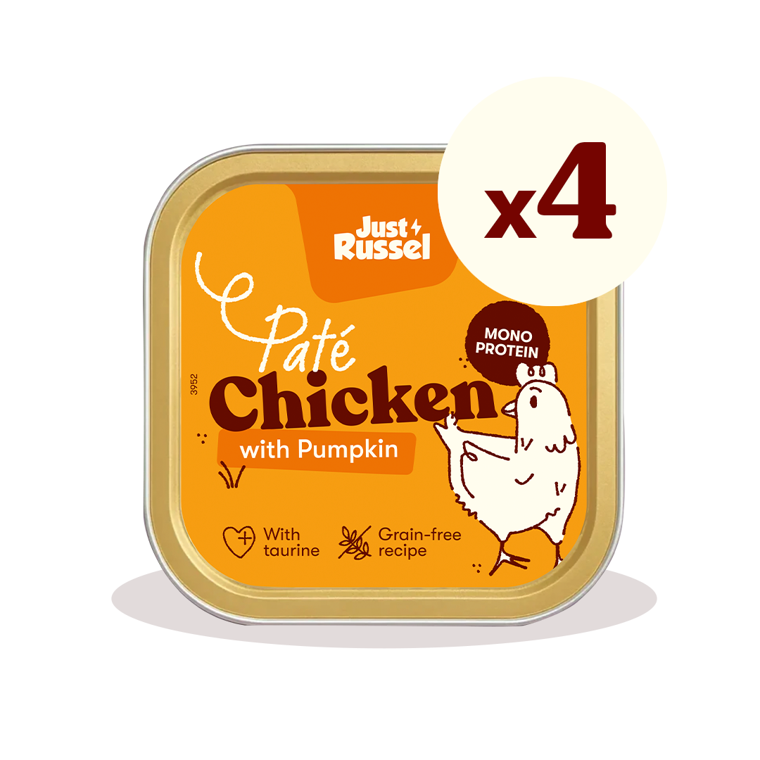 Paté for cats - Chicken and pumpkin