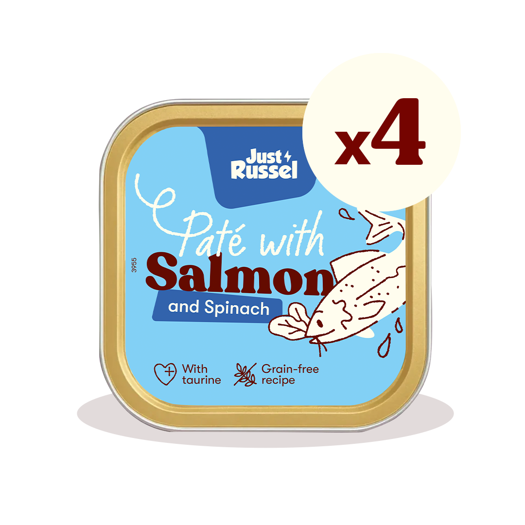 Paté for cats - Salmon and spinach