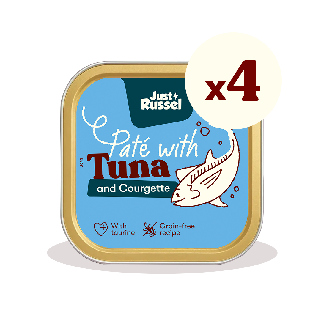 Paté for cats - Tuna and courgette