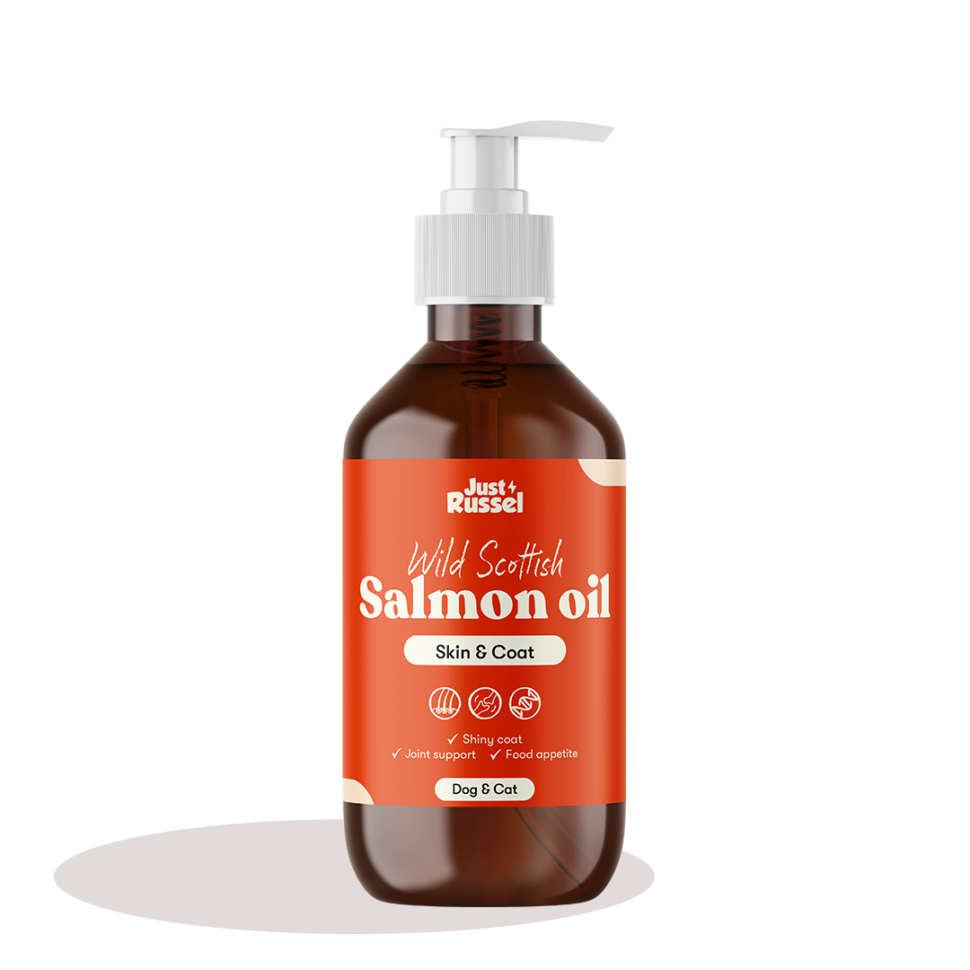 Cold pressed salmon oil