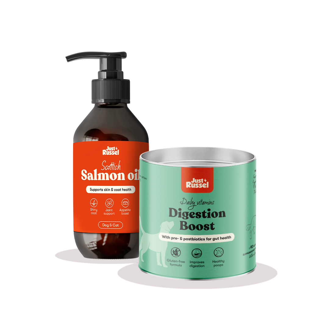 Digestion Boost + Lachsöl-Paket