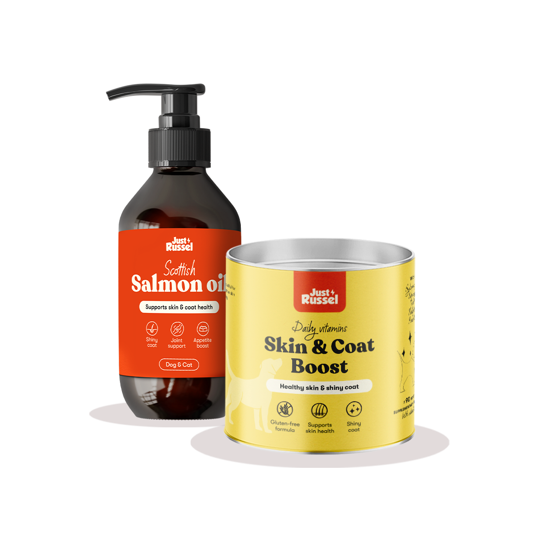 Skin & Coat + Salmon Oil Bundle